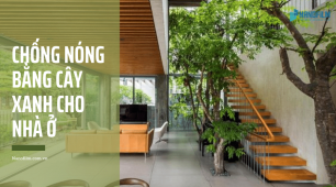 Chống nóng nhà ở  bằng cây xanh - Nhà đẹp, nhà mát không lo bị nóng