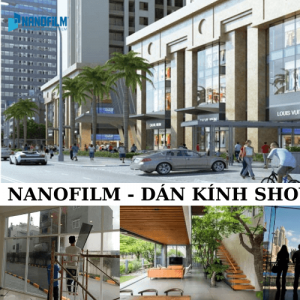Giấy Dán Kính Chống Nóng, Chống Nắng Showroom