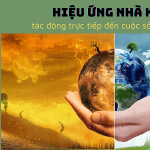 Hiệu ứng nhà kính ảnh hưởng trực tiếp đến đời sống của bạn như thế nào?