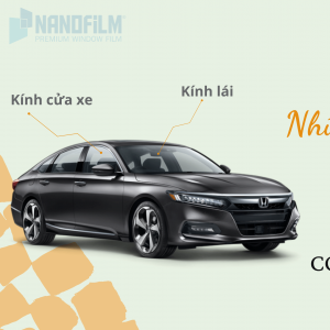 Những điều thú vị về kính xe ô tô có thể bạn chưa biết