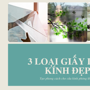Tổng hợp 3 loại giấy dán kính đẹp trang hoàng phòng khách