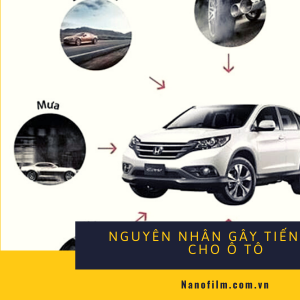 Trang bị phụ kiện cách âm chống ồn xe hơi, liệu có cần?