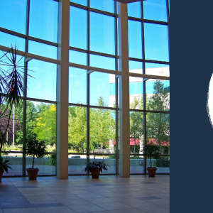 Dán phim cách nhiệt nhà kính thì kính có bị mờ và tối không?