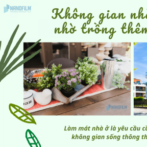 Không gian nhà ở mát mẻ nhờ trồng thêm cây xanh
