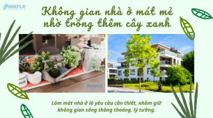 Không gian nhà ở mát mẻ nhờ trồng thêm cây xanh