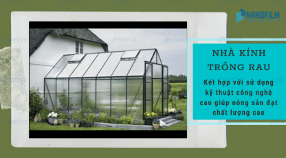 Nên chọn vật liệu làm nhà kính trồng rau như thế nào?