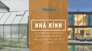 Đặc điểm của nhà kính để ở và nhà kính trồng rau