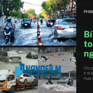 Bí quyết lái xe an toàn trong vùng ngập nước đô thị