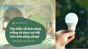 Tìm hiểu về ánh sáng trắng có thực sự tốt hơn ánh sáng vàng