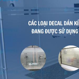Các loại decal mờ dán kính được sử dụng phổ biến nhất hiện nay